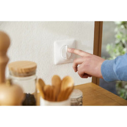 Ovalis - interrupteur 2 boutons pour volet roulant- 6AX -Blanc - S320208 Schneider Electric