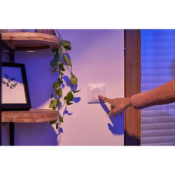 Ovalis - interrupteur va et vient - 10AX - lumineux ou témoin - Blanc - S320263 Schneider Electric