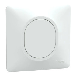 Ovalis - obturateur - Blanc - griffes montées - avec plaque - S321666 Schneider Electric