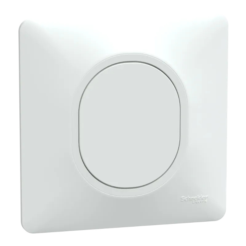Ovalis - obturateur - Blanc - griffes montées - avec plaque - S321666 Schneider Electric