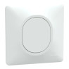 Ovalis - obturateur - Blanc - griffes montées - avec plaque - S321666 Schneider Electric