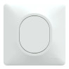 Ovalis - obturateur - Blanc - griffes montées - avec plaque - S321666 Schneider Electric
