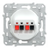 Ovalis - Prise haut parleur - 2 sorties - Blanc - S320488 Schneider Electric