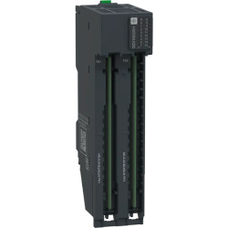 Eio NTS H DI16 24V SNK DH Mod - NTSDDI1602XH Schneider Electric