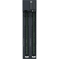 Eio NTS H DI16 24V SNK DH Mod - NTSDDI1602XH Schneider Electric