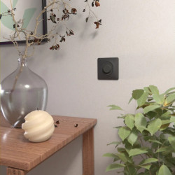 Ovalis - Variateur de lumière universel - 2/3 fils - Blanc - S320519 Schneider Electric