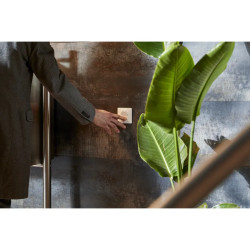 Ovalis - interrupteur va et vient - 10AX - Antibactérien - S300204 Schneider Electric