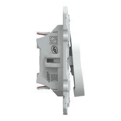 Ovalis - double va et vient - 10AX - Antibactérien - S300214 Schneider Electric