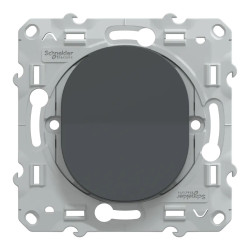 Ovalis - bouton poussoir à fermeture - 10A - Anthracite - S340206 Schneider Electric