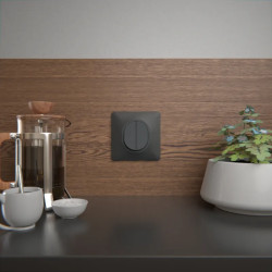 Ovalis - double va et vient - 10AX - Anthracite - S340214 Schneider Electric