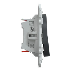 Ovalis - double poussoir fermeture - 10AX - Anthracite - S340216 Schneider Electric