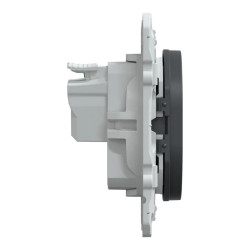 Prise 2P+T à puits Auto Anth - S340059 Schneider Electric