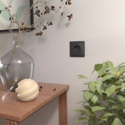 Prise 2P+T à puits Auto Anth - S340059 Schneider Electric