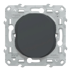 Ovalis - obturateur - Anthracite  - couvercle protection peinture - S340666 Schneider Electric