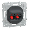 Ovalis - Prise haut-parleur 2 sorties - Anthracite - S340488 Schneider Electric