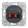 Ovalis - Prise haut-parleur 2 sorties - Anthracite - S340488 Schneider Electric