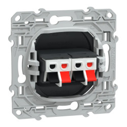 Ovalis - Prise haut-parleur 2 sorties - Anthracite - S340488 Schneider Electric