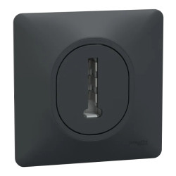 Ovalis - Prise téléphone en T - 8 contacts - avec plaque - Anthracite - S340496 Schneider Electric