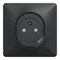 Combi 2P+T affl + USB-C Anth - S340089 Schneider Electric