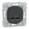 Ovalis - double chargeur USB A+A 10,5W - Anthracite - S340407 Schneider Electric