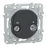 Ovalis - prise TV-R - Anthracite - S340451 Schneider Electric