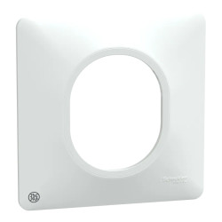 Ovalis - Plaque de finition - 1 poste Antibactérien - S300702 Schneider Electric