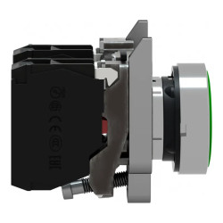 BOUTON POUSSOIR VERT AFFL - XB4BA35 Schneider Electric