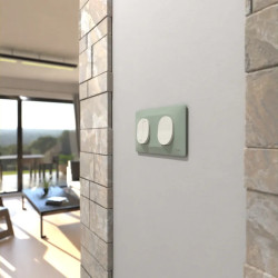 Plaque 2 post Hor 71 mm Sauge - S320704A Schneider Electric