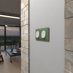 Plaque 2 post Hor 71 mm Vert F - S320704B Schneider Electric