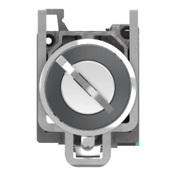 BT CLE 2 POS RAPP G 1F PUSH IN - XB4BG615 Schneider Electric