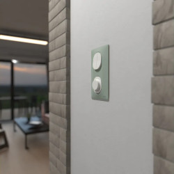 Ovalis - Plaque de finition - 2 postes Vertical - entraxe 71mm - Sauge - S320724A Schneider Electric