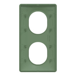 Plaque 2 post Vert 71mm Vert F - S320724B Schneider Electric