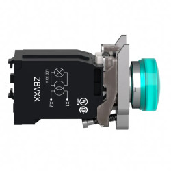Harmony XB4 - voyant lumineux BA9s - Ø22 - vert - 230V - vis étrier - XB4BV43 Schneider Electric
