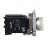 VOYANT BLANC A DEL INTEGR - XB4BV5B1 Schneider Electric