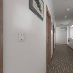 Ovalis - Plaque de finition - 1 poste Blanc avec bague effet Laiton - S320702D Schneider Electric