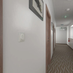 Plaque 1 poste Blanc Argent C - S320702F Schneider Electric