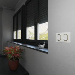 Plaque 2 post Hor 71 mm Blc Lt - S320704D Schneider Electric