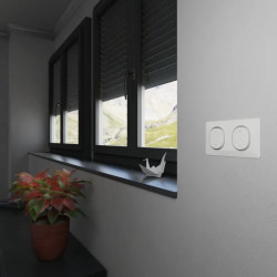 Plaque 2 post Hor 71 mm Blc Ag - S320704F Schneider Electric