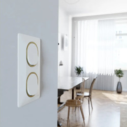 Plaque 2 post Vert 71mm Blc Lt - S320724D Schneider Electric