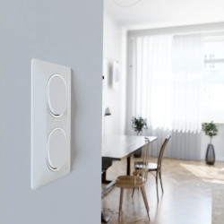 Plaque 2 post Vert 71mm Blc Ag - S320724F Schneider Electric