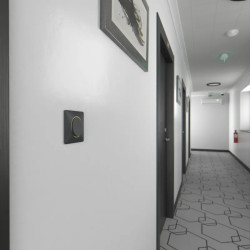 Ovalis - Plaque de finition - 1 poste Anthracite bague effet Laiton - S340702E Schneider Electric