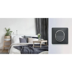 Ovalis - Plaque de finition - 1 poste Anthracite bague effet Laiton - S340702E Schneider Electric