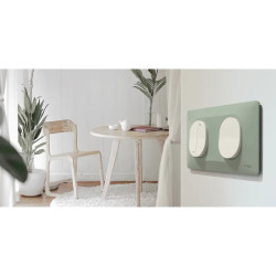 Plaque 1 poste Anth Argent C - S340702G Schneider Electric