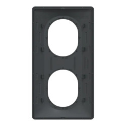 Plaque 2 post Vert 71mm Ant Ag - S340724G Schneider Electric