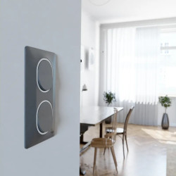 Plaque 2 post Vert 71mm Ant Ag - S340724G Schneider Electric