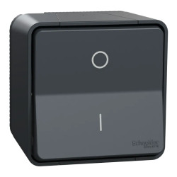 INTER BIPO. GRIS SAILLIE - MUR35033 Schneider Electric