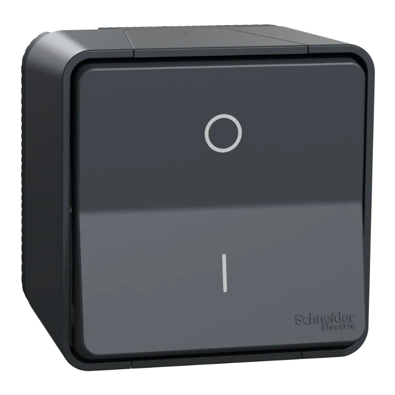 INTER BIPO. GRIS SAILLIE - MUR35033 Schneider Electric