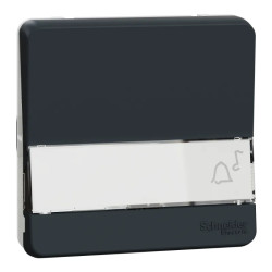 BP PORTE-ET. GRIS COMP. - MUR34029 Schneider Electric