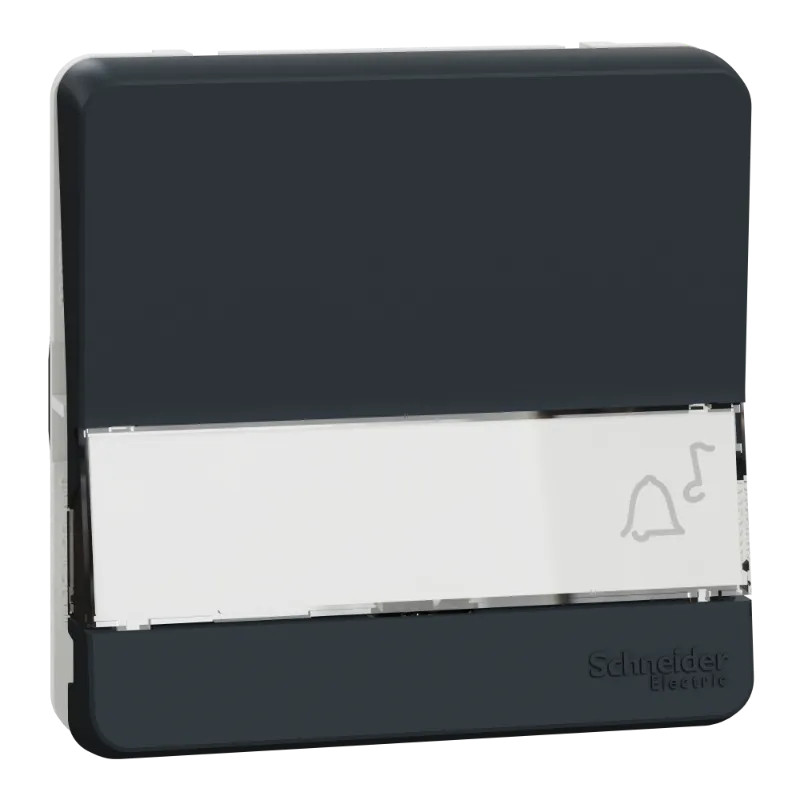 BP PORTE-ET. GRIS COMP. - MUR34029 Schneider Electric