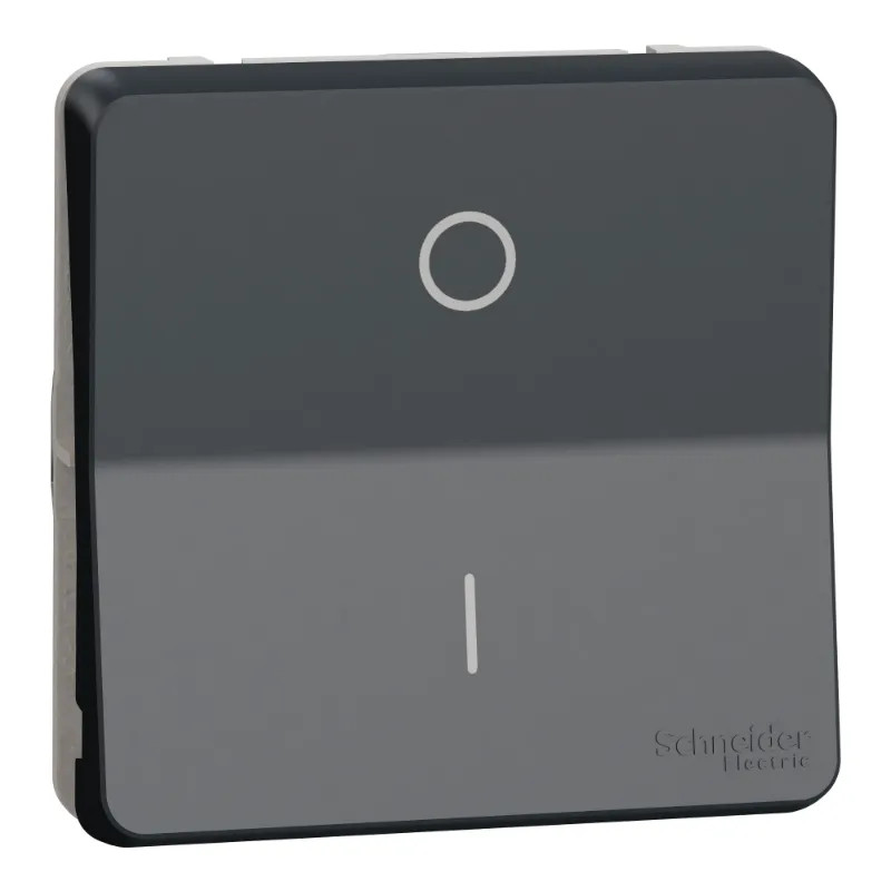 INTER BIPOLAIRE GRIS COM. - MUR35034 Schneider Electric